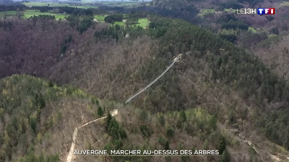 Reportage TF1 : Marcher au-dessus des arbres en Haute-Loire